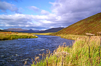 Rivière à Saumon AYAKULIK