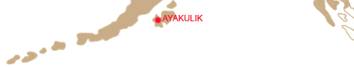 AYAKULIK