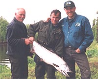 saumon d'alaska