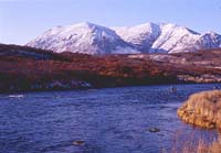 Karluk