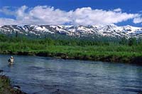 ALEXANDER CREEK