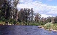 LAKE CREEK